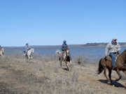 Horseback Riding - Advanced Rider