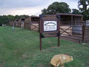 Marshall Creek Ranch - Horse Boarding