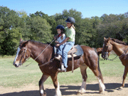 Horseback Riding - Ride Alongs